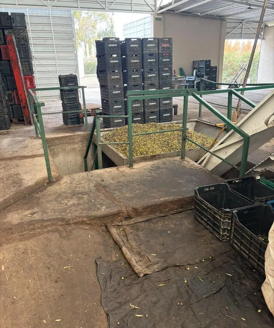 SD PROPIEDADES OFRECE OPORTUNIDAD DE INVERSIÓN AGROINDUSTRIAL 5