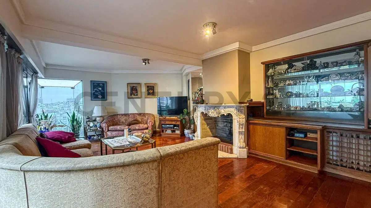 VENTA DEPARTAMENTO 4 AMBIENTES CON QUINCHO PROPIO RIPALDA XII 4