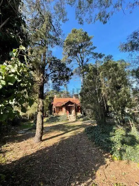 ALQUILER CASA 3 AMBIENTES BOSQUE PERALTA RAMOS 4