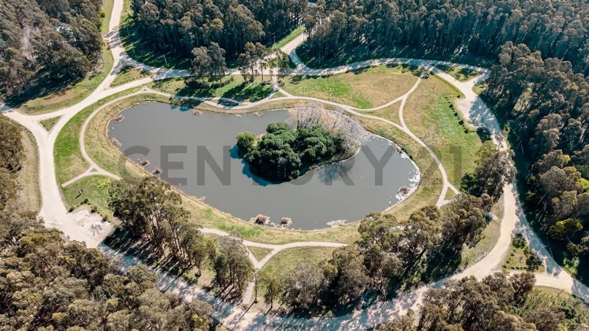 Foto de VENTA DE LOTE EN BARRIO TIPANTÚ, imagen 4