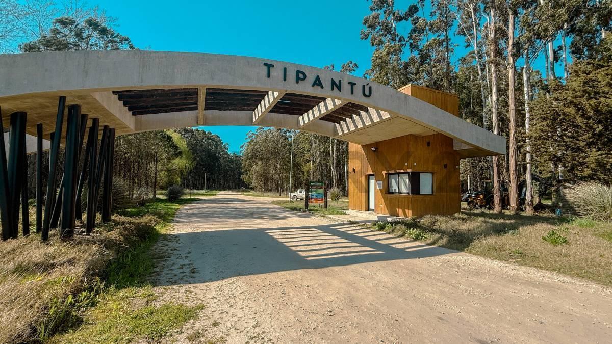 Foto de VENTA DE LOTE EN BARRIO TIPANTÚ, imagen 1