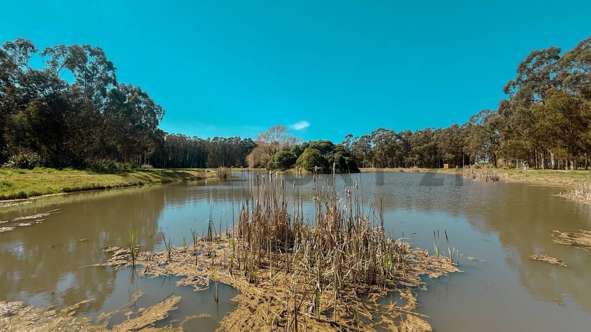 Foto de VENTA DE LOTE EN BARRIO TIPANTÚ, imagen 5