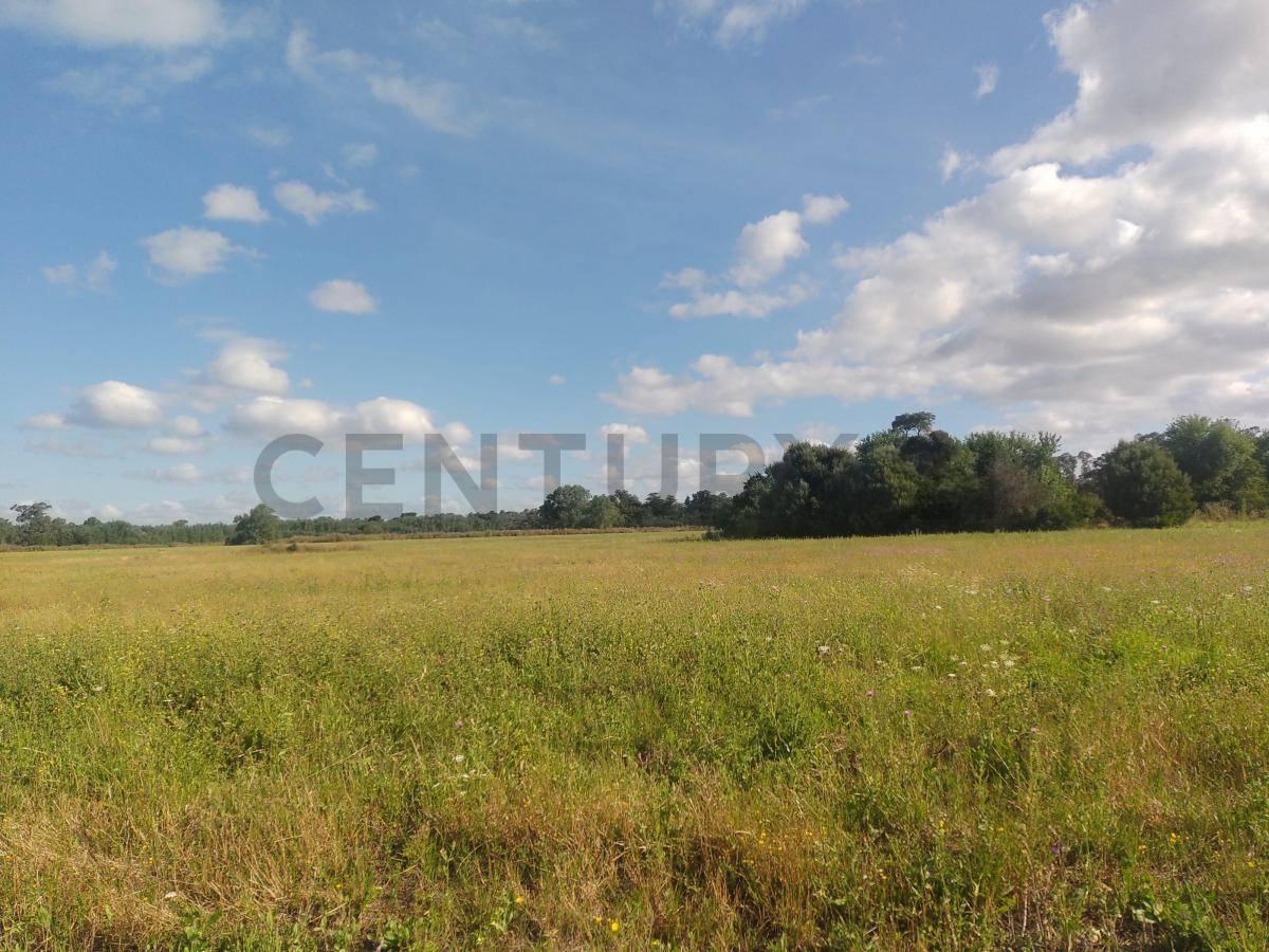 Foto de Venta Lote / Terreno, imagen 5
