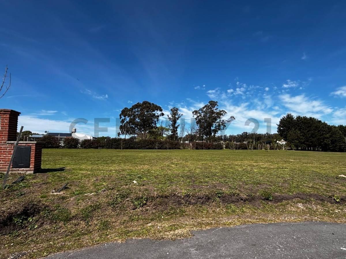 Foto de Venta lote en Casonas del Haras 663m2, imagen 5