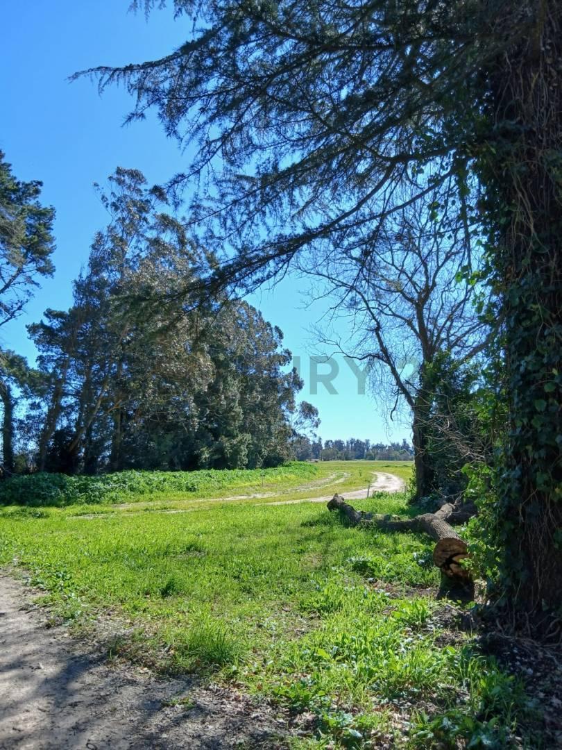 Foto de Venta Lote / Terreno en Barrio Privado Comarcas de Stella Maris, imagen 5