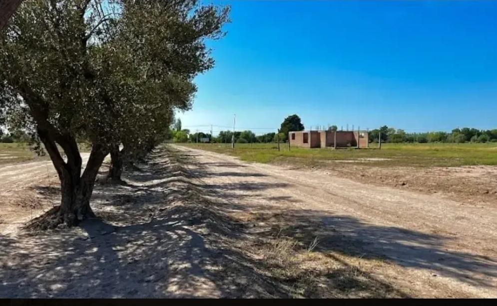 Foto de Terreno en Las Paredes, imagen 2