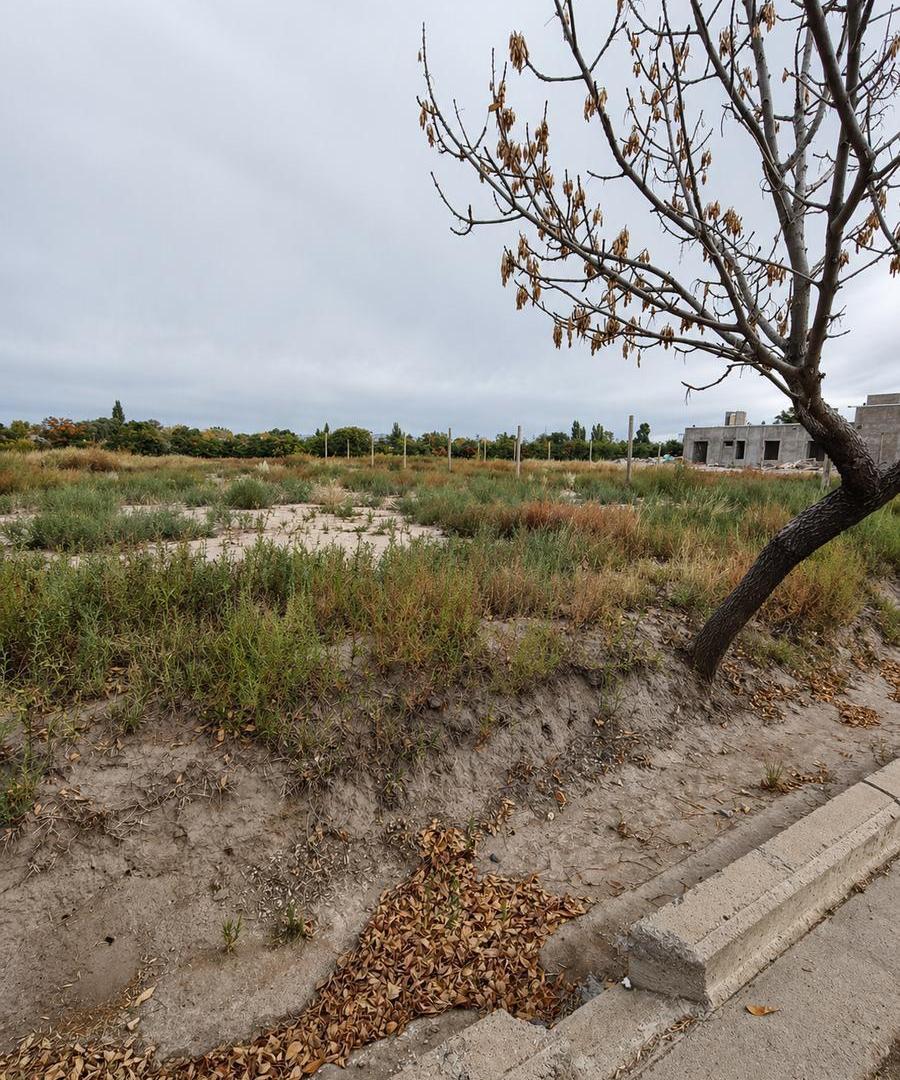 Foto de VENTA TERRENO SAN RAFAEL BARRIO CERRADO "LOMAS DE CASCIA", imagen 3