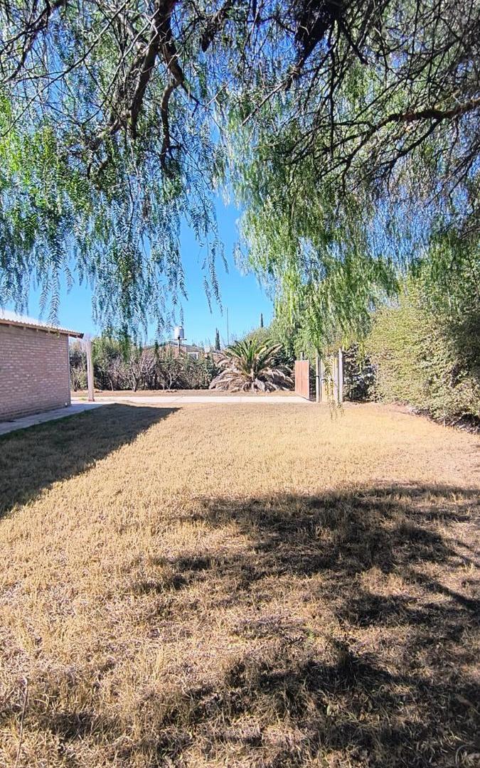 Foto de Casa 4 dormitorios | 1.300 m² de terreno | Ctan M. Las Paredes, imagen 5