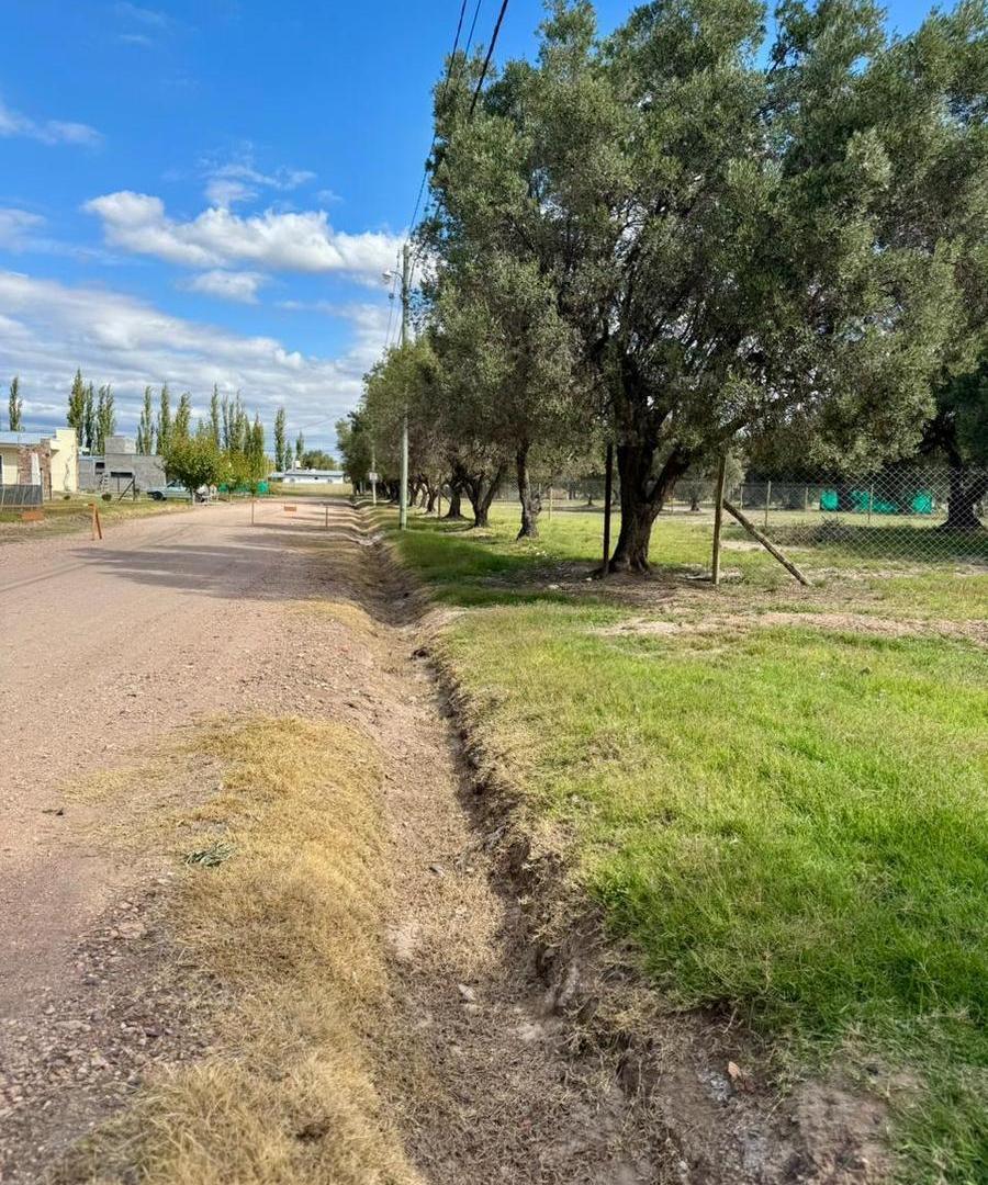 Foto de Terreno en venta Los Cardos San Rafael Barrio Privado, imagen 4