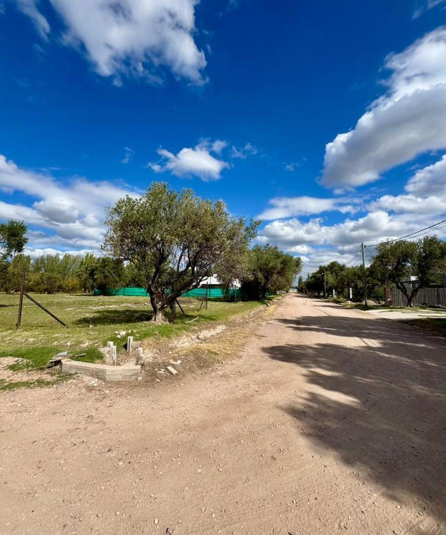 Foto de la propiedad en Bertani al 1600, San Rafael, Mendoza
