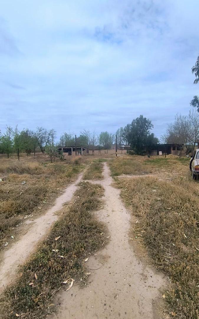 Foto de Casa a terminar 3 dormitorios | Terreno de 2400m, imagen 3