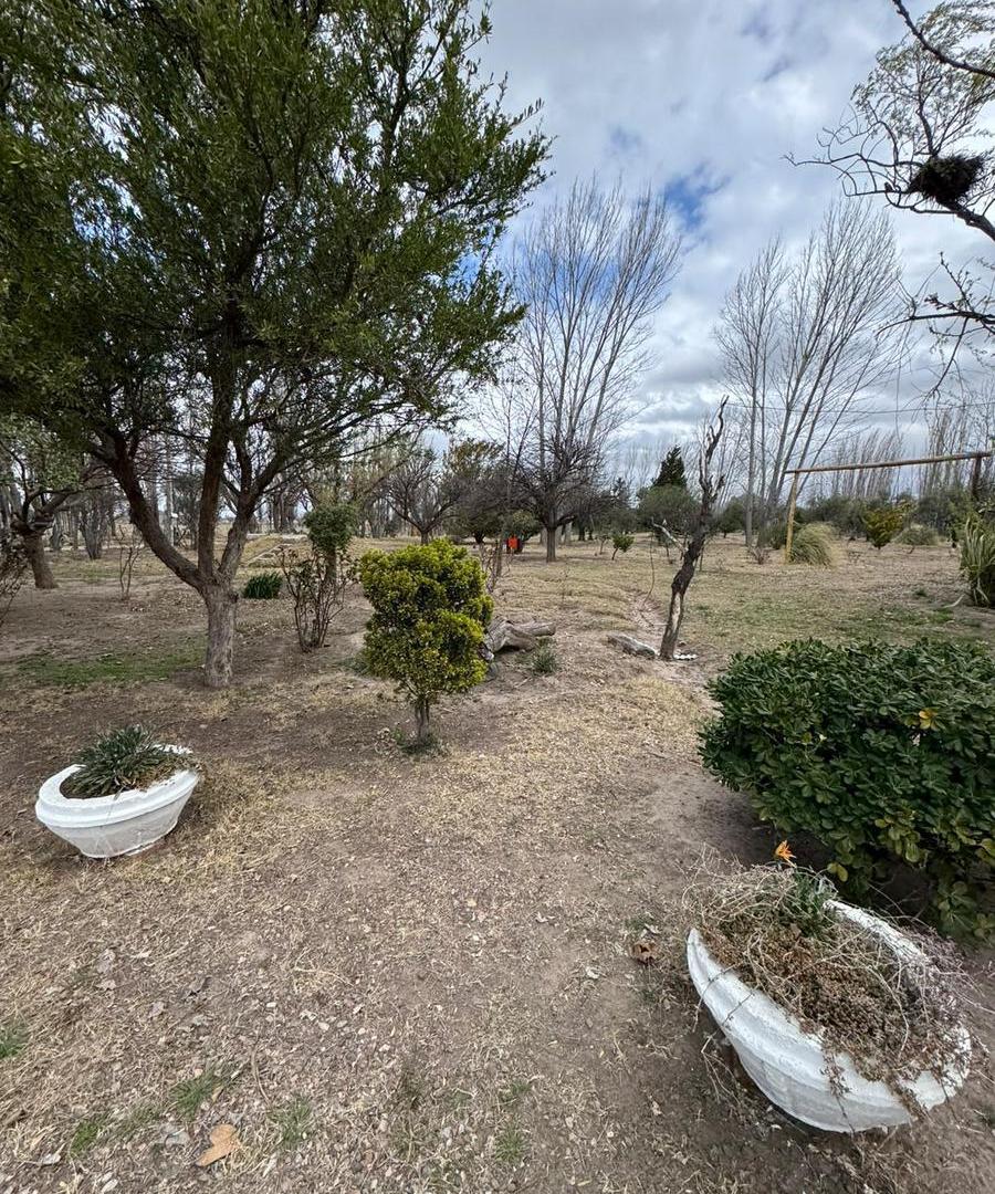 Foto de SE VENDE CAMPING DE 3 HA EN LAS PAREDES – COMPLEJO TURÍSTICO Y FINCA, imagen 4