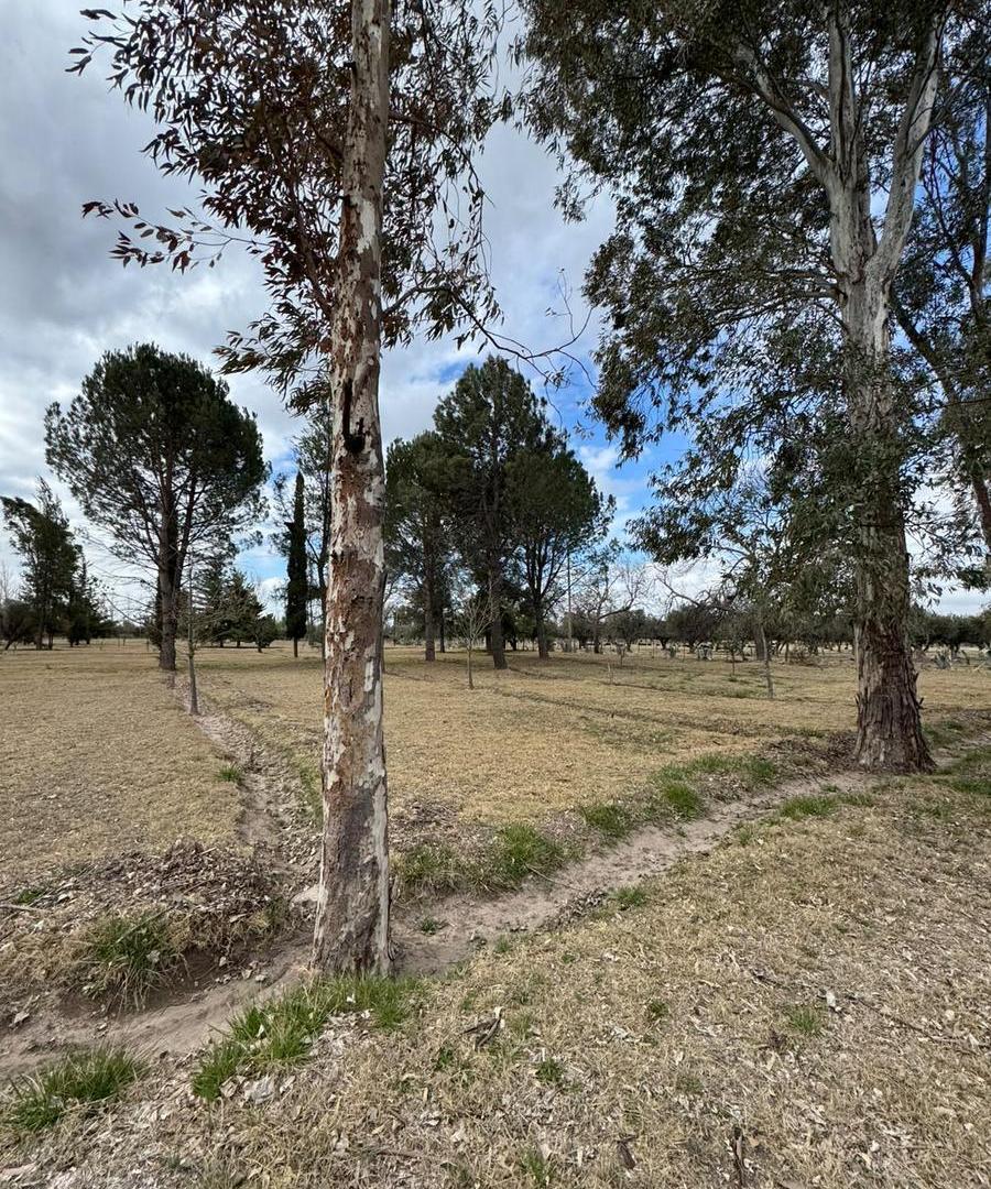 Foto de SE VENDE CAMPING DE 3 HA EN LAS PAREDES – COMPLEJO TURÍSTICO Y FINCA, imagen 3
