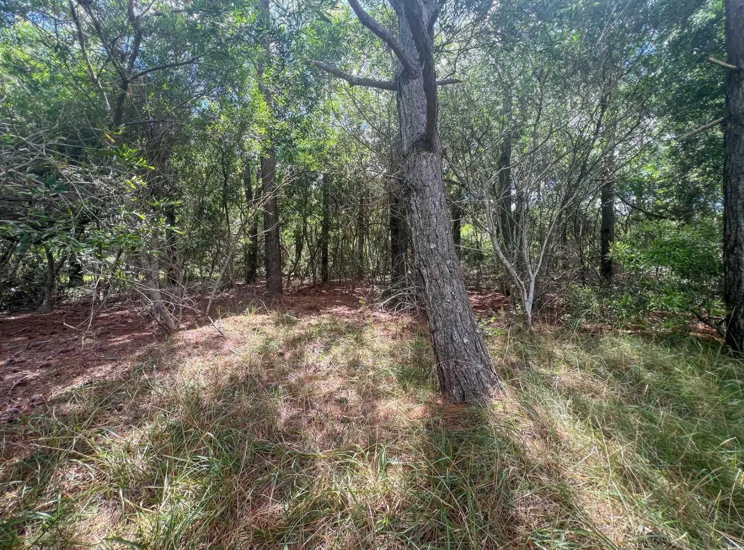 VENTA LOTE EN PINAMAR NORTE 3