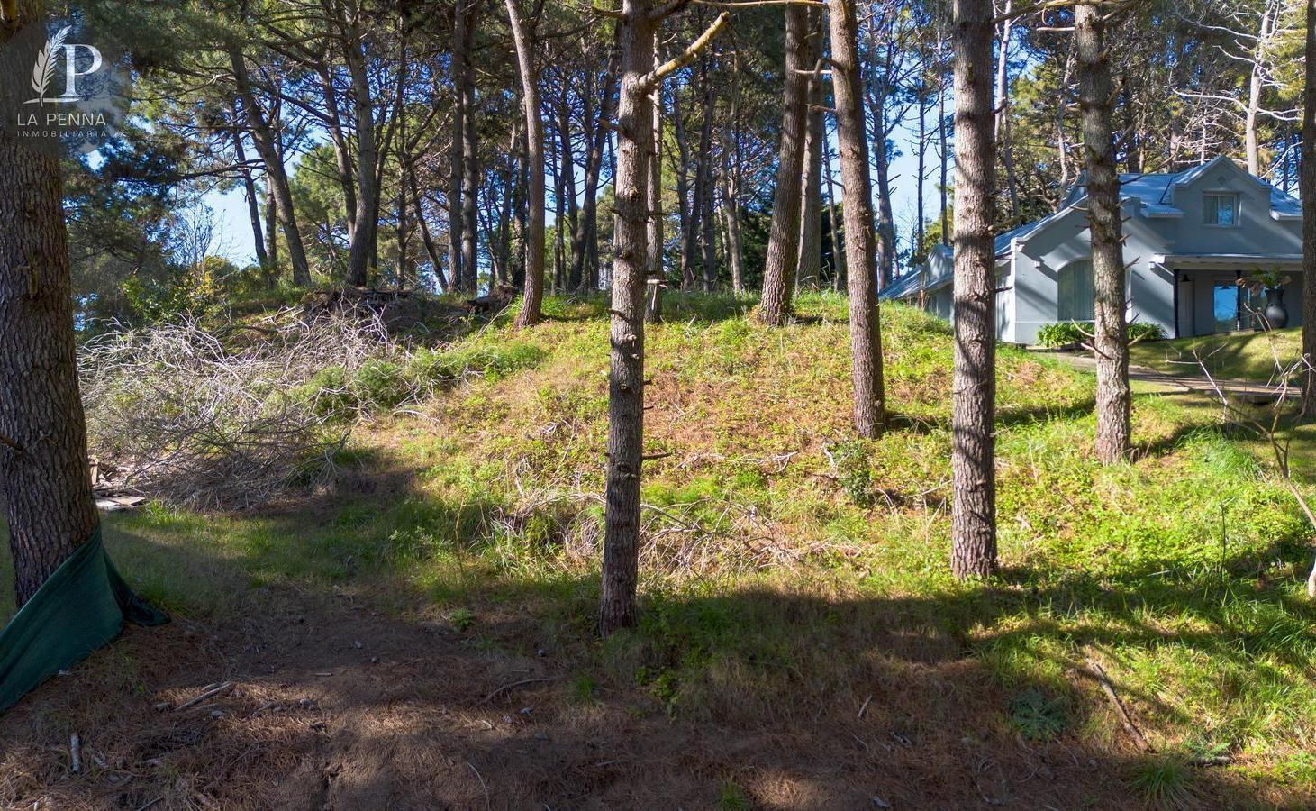 Foto de Venta Terreno Pinamar, imagen 4