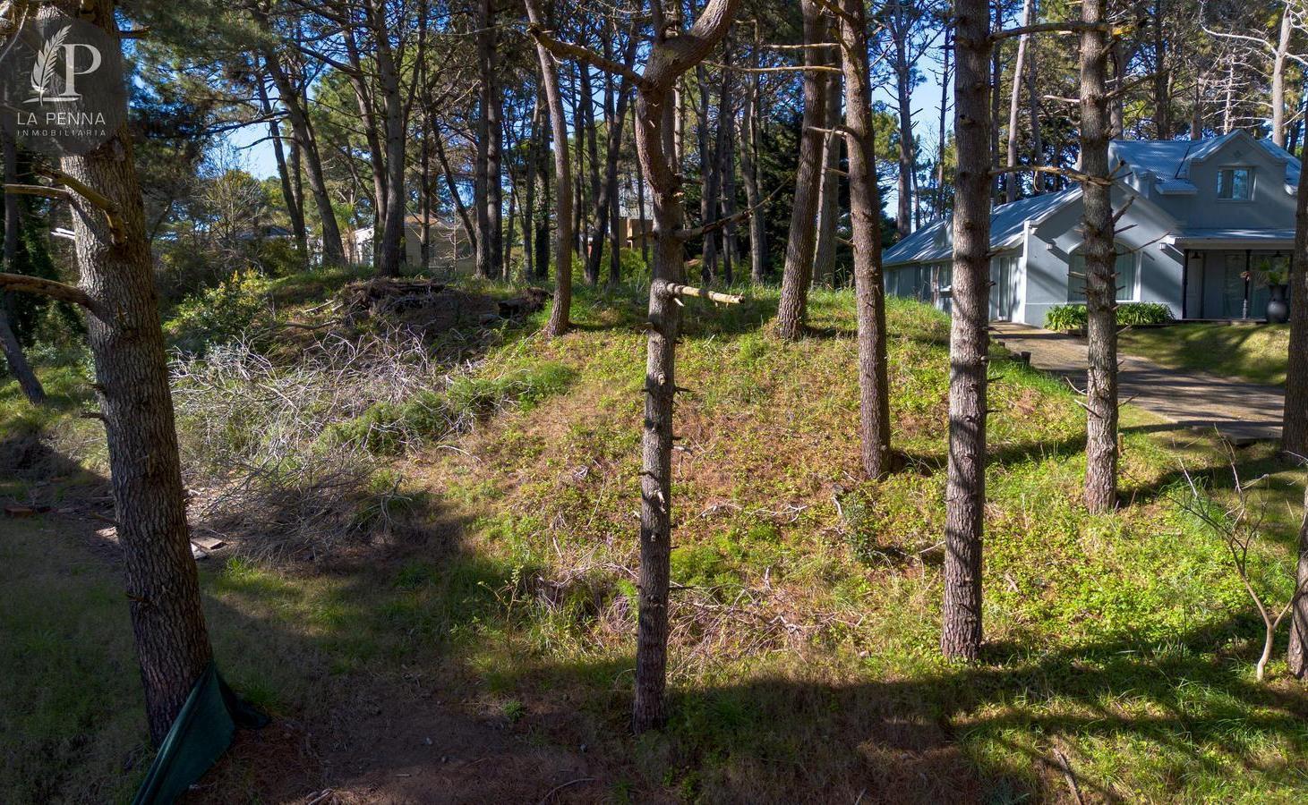 Foto de Venta Terreno Pinamar, imagen 3
