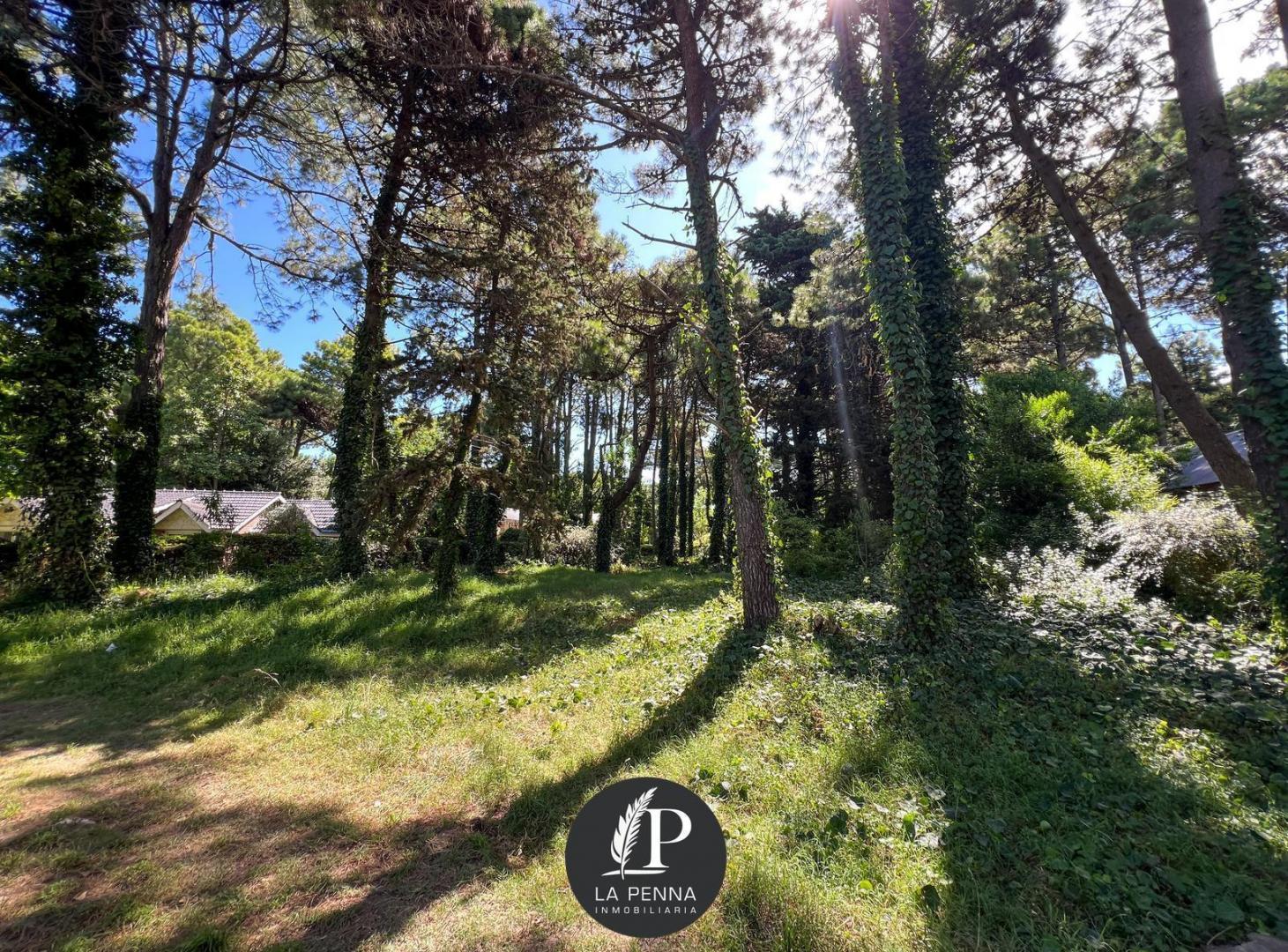 Foto de LOTE EN VENTA EN PINAMAR TRIDENTE, imagen 1