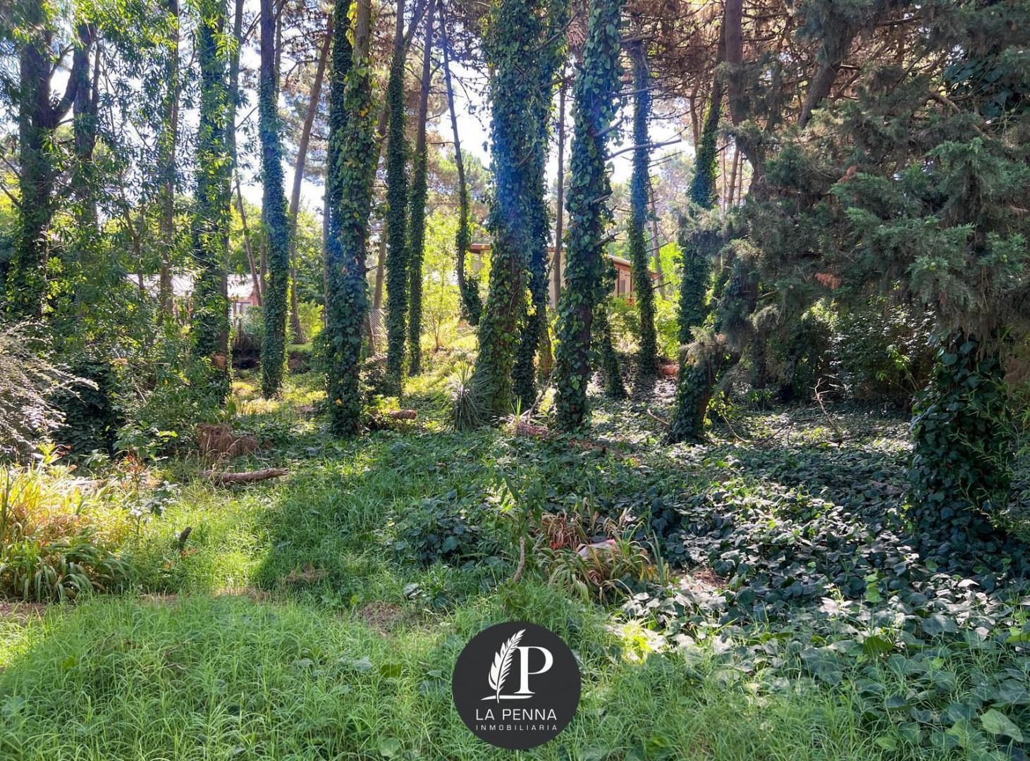 Foto de LOTE EN VENTA EN PINAMAR TRIDENTE, imagen 2