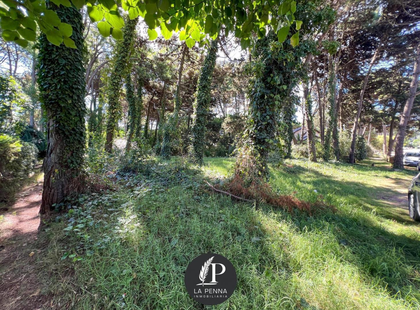 Foto de LOTE EN VENTA EN PINAMAR TRIDENTE, imagen 3