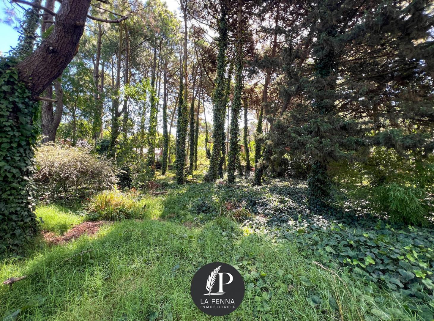 Foto de LOTE EN VENTA EN PINAMAR TRIDENTE, imagen 5