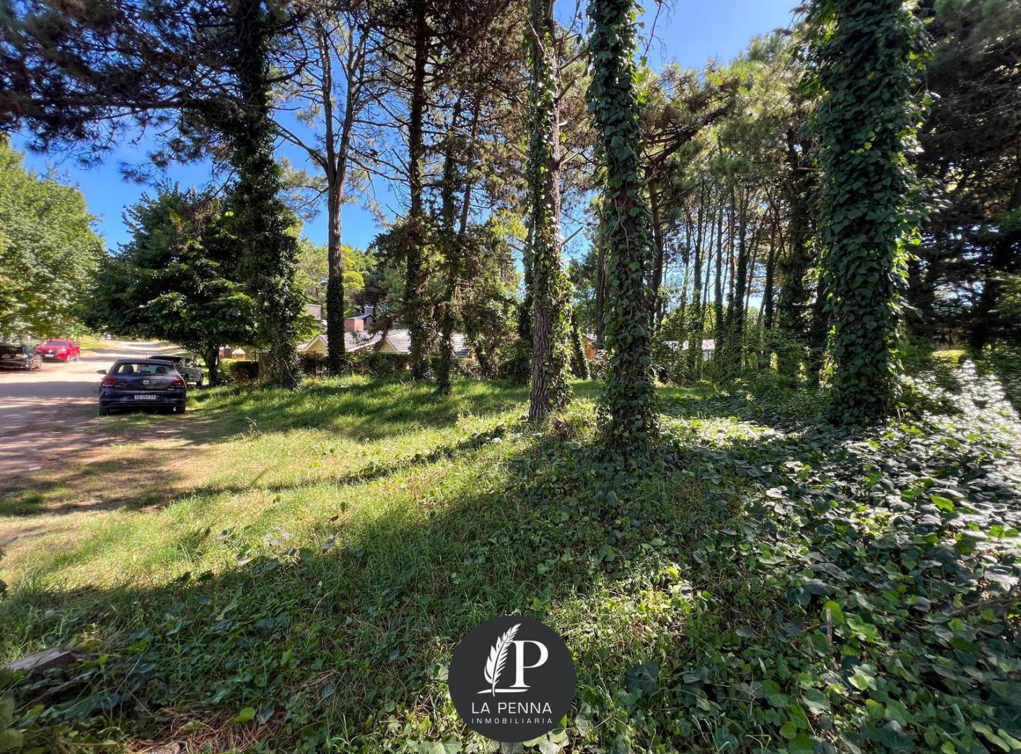 Foto de LOTE EN VENTA EN PINAMAR TRIDENTE, imagen 4