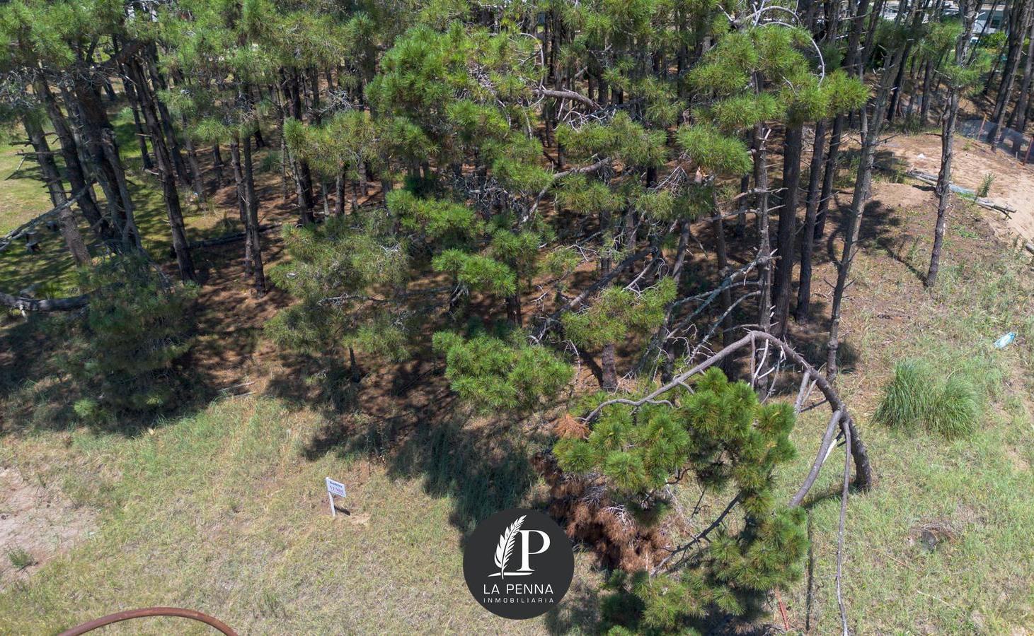 Foto de Venta Lote Terreno en Pinamar Alamos, imagen 4