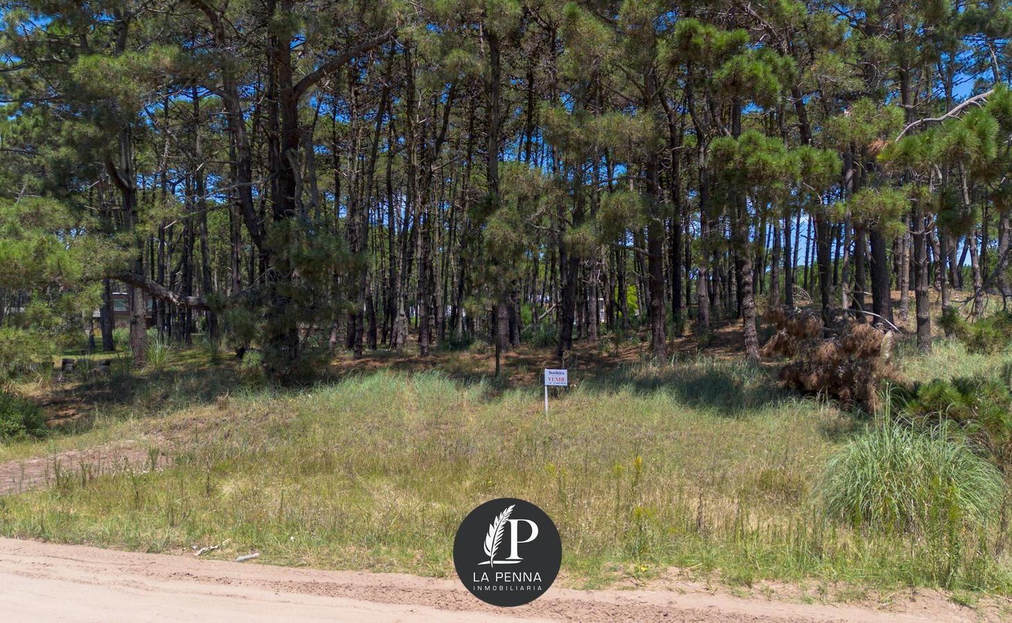 Foto de Venta Lote Terreno en Pinamar Alamos, imagen 5