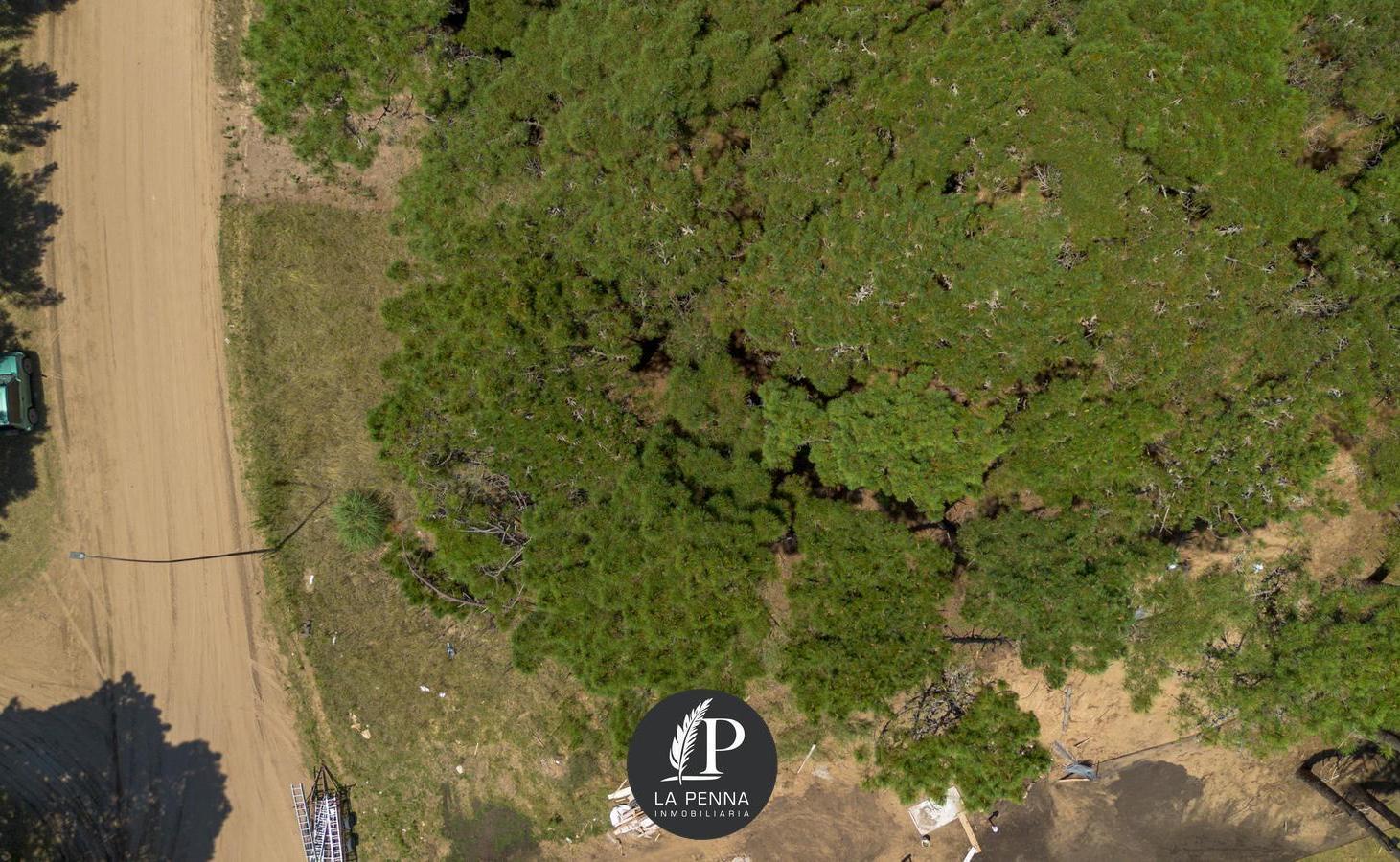 Foto de Venta Lote Terreno en Pinamar Alamos, imagen 2