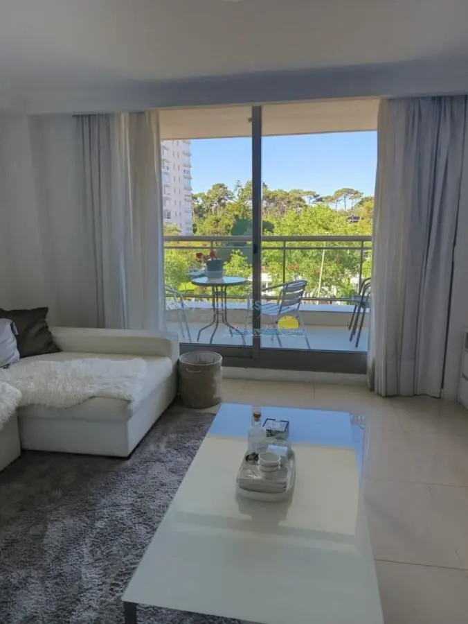 Apartamento en alquiler invernal de 1 dormitorio en Place Lafayette , Punta del este 1