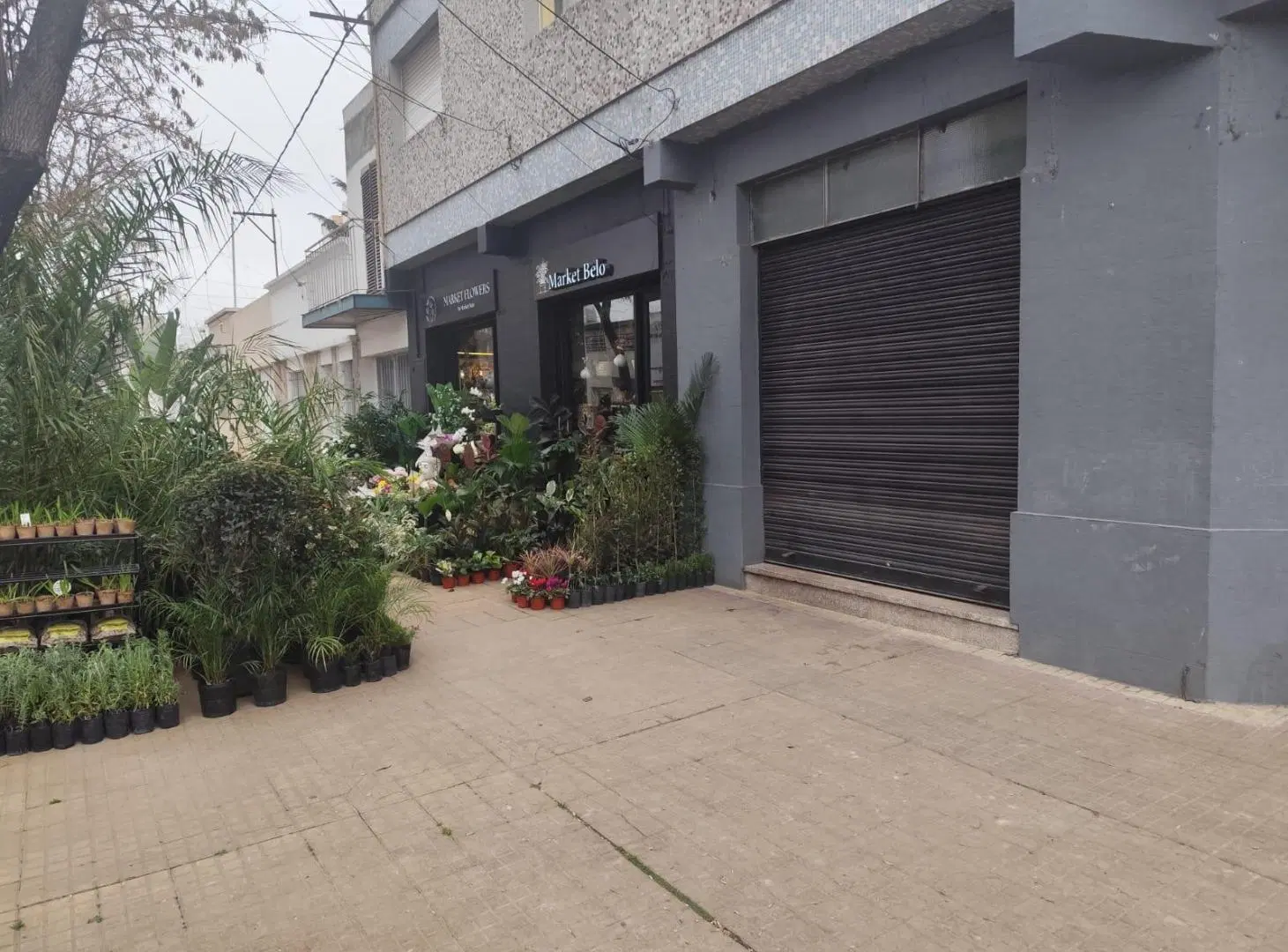 Local en La Plata 1