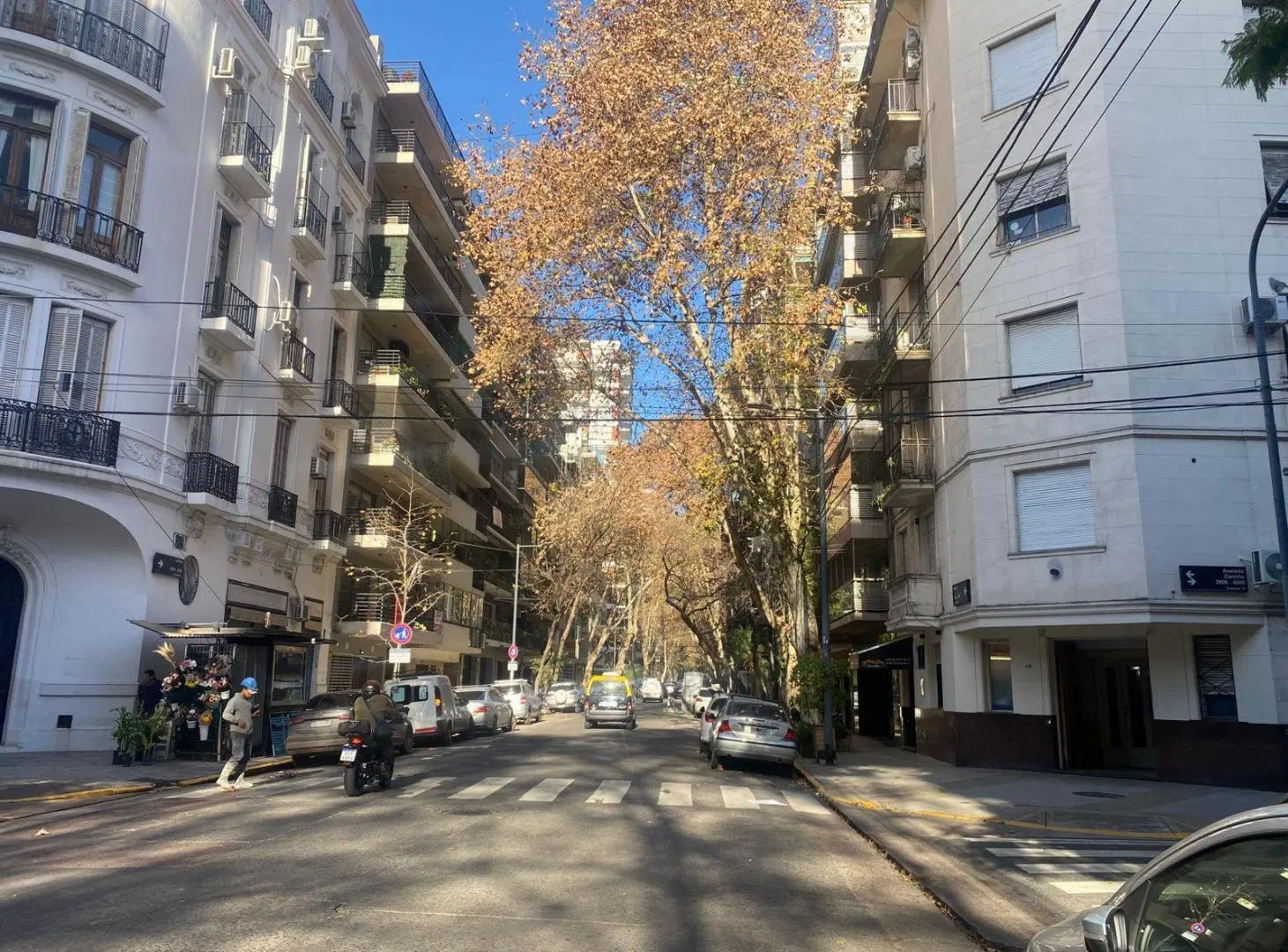 Departamento en Palermo Chico 2