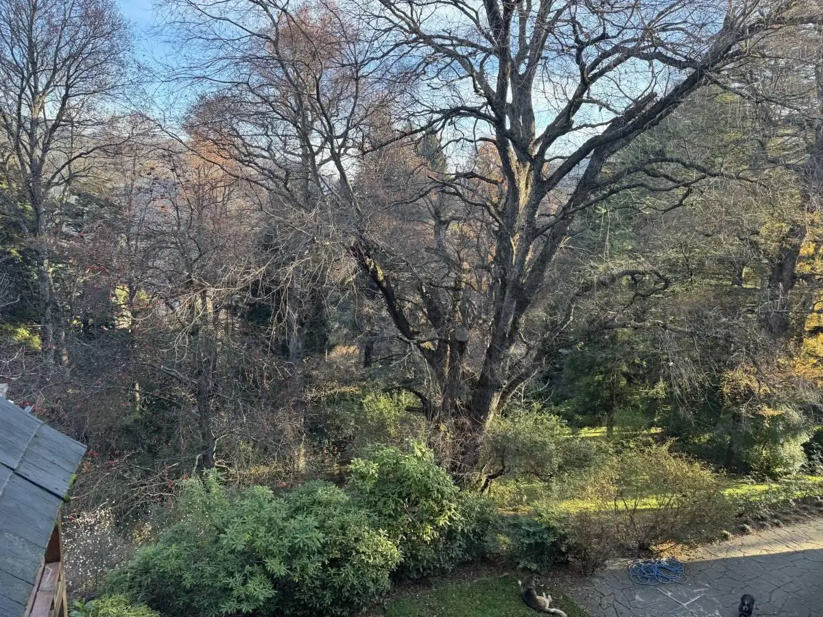 ALQUILER DEPARTAMENTO SAN MARTIN DE LOS ANDES. ALTOS DEL SOL , AMUEBLADO 5