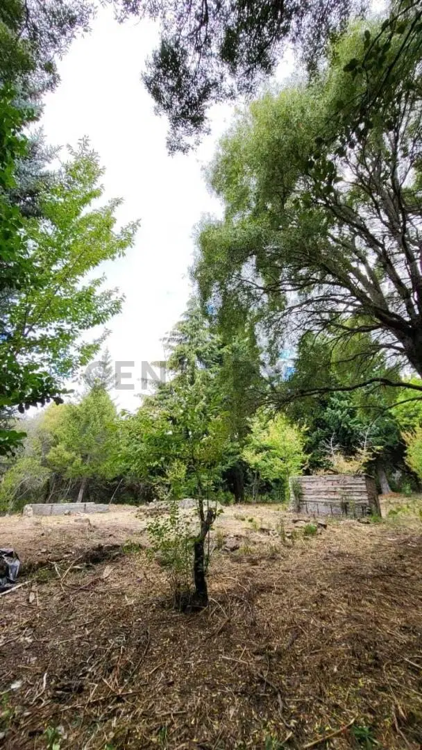 VENTA LOTE LAGO MELIQUINA . EXCLUSIVO LOTE DE 2.575  m² CON COSTA DE ARROYO EN LA PENINSULA DE MELIQ 4