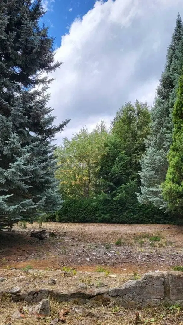 VENTA LOTE LAGO MELIQUINA . EXCLUSIVO LOTE DE 2.575  m² CON COSTA DE ARROYO EN LA PENINSULA DE MELIQ 5
