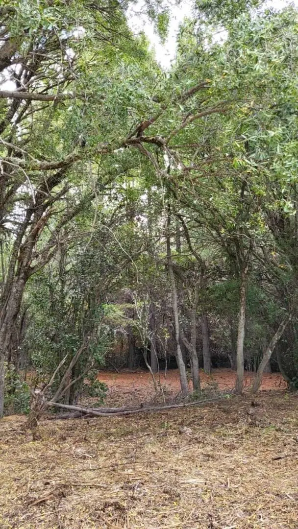 VENTA LOTE LAGO MELIQUINA . EXCLUSIVO LOTE DE 2.575  m² CON COSTA DE ARROYO EN LA PENINSULA DE MELIQ 3