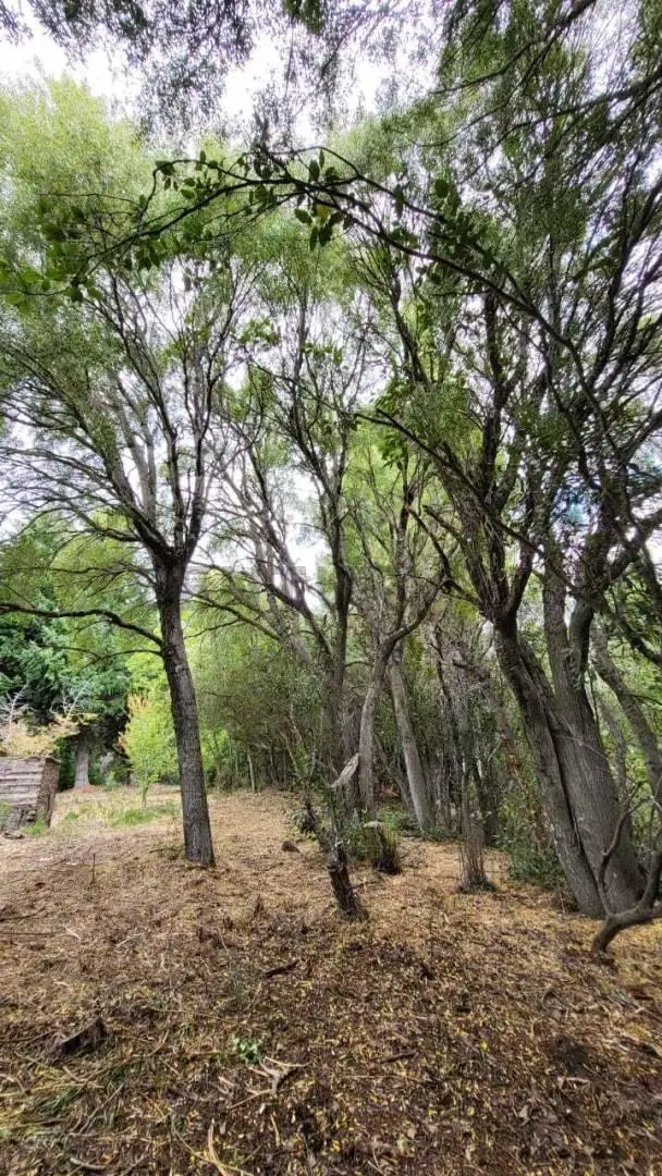 VENTA LOTE LAGO MELIQUINA . EXCLUSIVO LOTE DE 2.575  m² CON COSTA DE ARROYO EN LA PENINSULA DE MELIQ 2