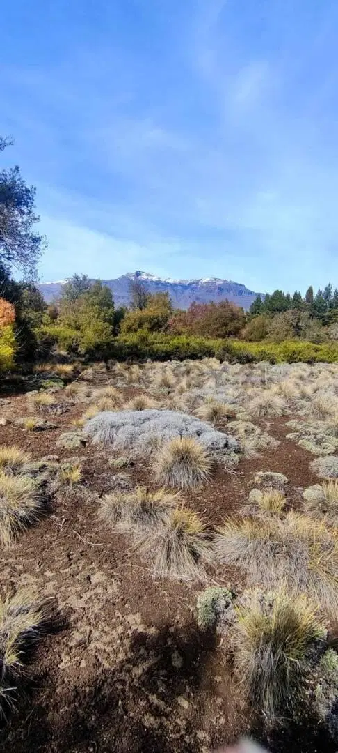 VENTA LOTE SAN MARTÍN DE LOS ANDES. BARRIO RUCAHUE 2