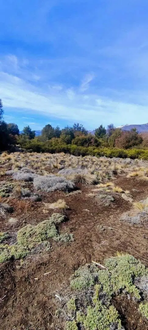 VENTA LOTE SAN MARTÍN DE LOS ANDES. BARRIO RUCAHUE 3