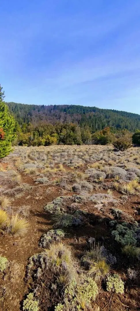 VENTA LOTE SAN MARTÍN DE LOS ANDES. BARRIO RUCAHUE 4