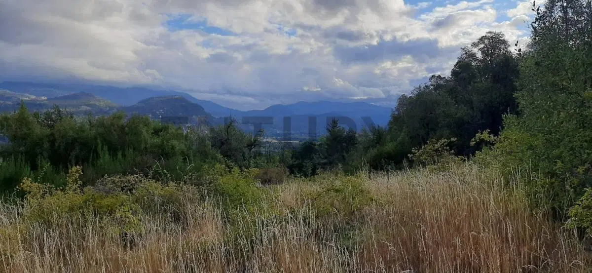 Lote de 2,8 Hectáreas en Venta en San Martín de los Andes | Ideal Desarrollo Inmobiliario 4