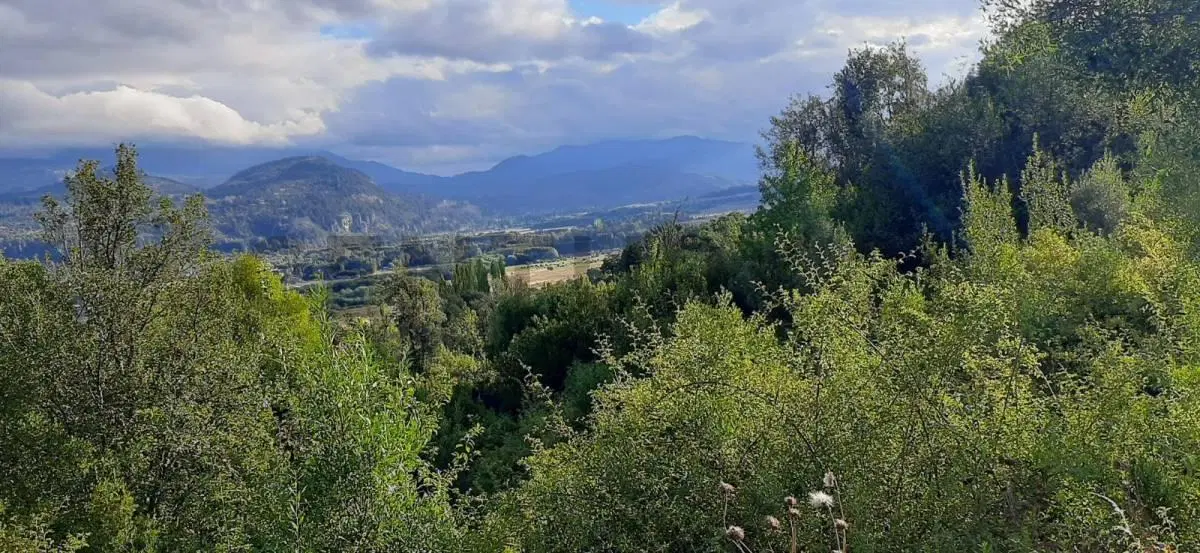 Lote de 2,8 Hectáreas en Venta en San Martín de los Andes | Ideal Desarrollo Inmobiliario 8