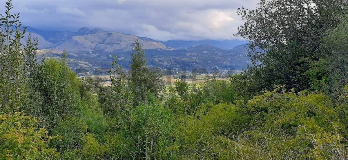 Lote de 2,8 Hectáreas en Venta en San Martín de los Andes | Ideal Desarrollo Inmobiliario