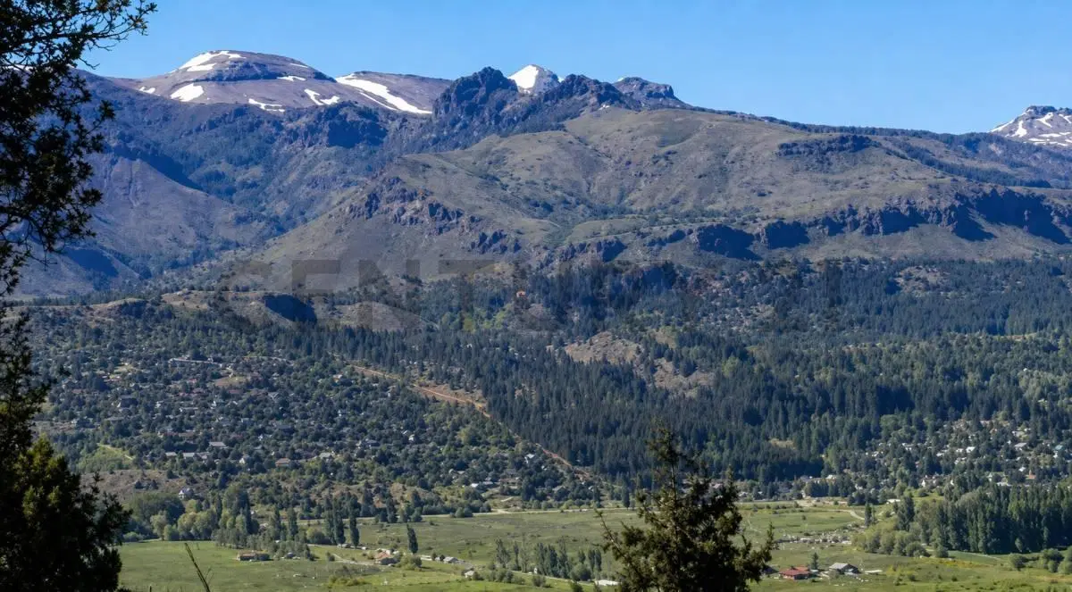 LOTE EN VENTA | 4,1 HECTÁREAS CON VISTAS PANORÁMICAS AL CERRO CHAPELCO 4