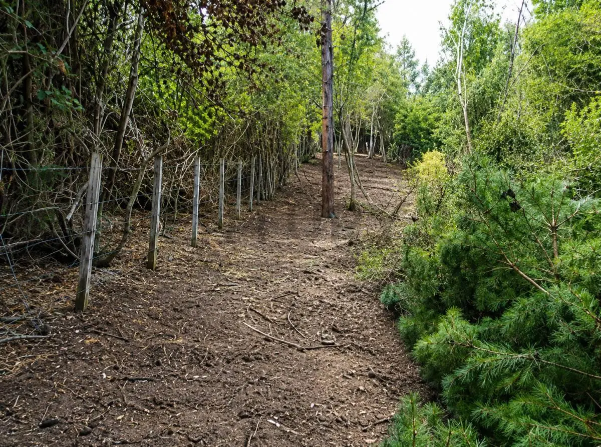LOTE EN VENTA | 4,1 HECTÁREAS CON VISTAS PANORÁMICAS AL CERRO CHAPELCO 5