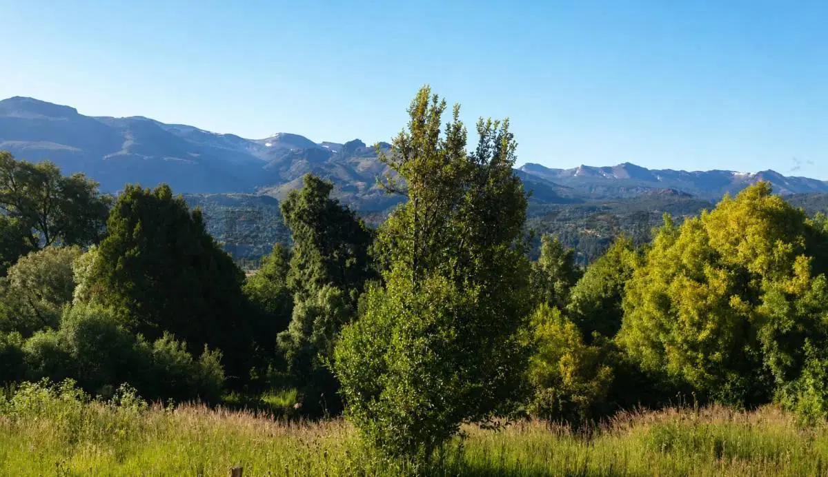 Lote en Venta en San Martin de los Andes - Terrazas de Bella Vista 4