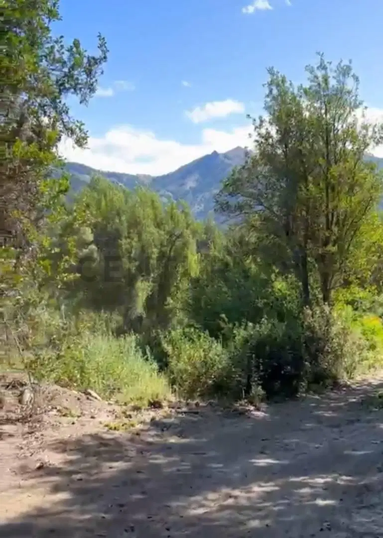 LOTE EN VENTA EN VILLA MELIQUINA. SAN MARTIN DE LOS ANDES 5