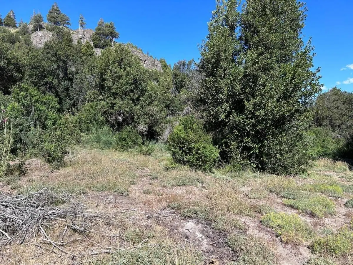 LOTE EN VENTA EN VILLA MELIQUINA. SAN MARTIN DE LOS ANDES 3