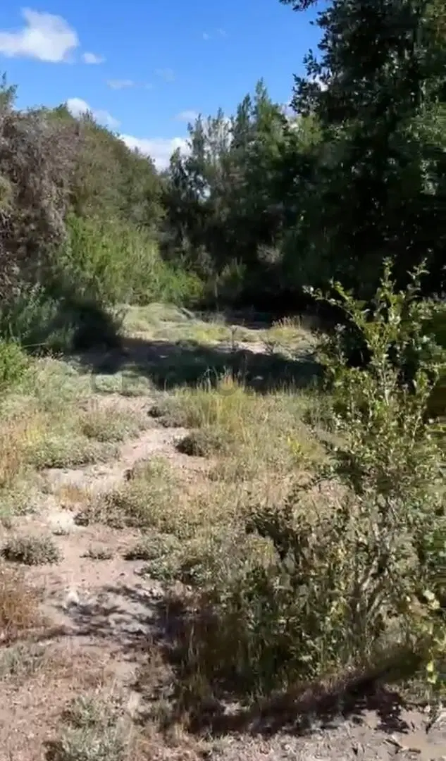 LOTE EN VENTA EN VILLA MELIQUINA. SAN MARTIN DE LOS ANDES 2