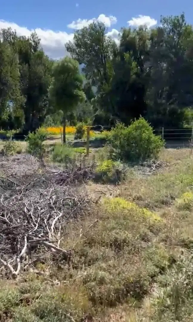 LOTE EN VENTA EN VILLA MELIQUINA. SAN MARTIN DE LOS ANDES 4