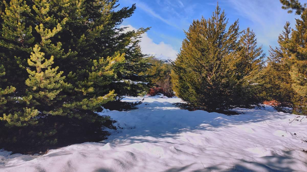 Foto de LOTE EN VENTA VILLA LAGO MELIQUINA - SAN MARTIN DE LOS ANDES, imagen 1